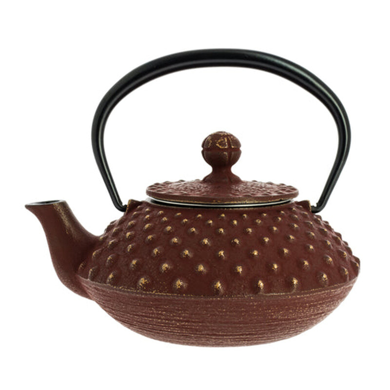 Teapot Iwachu Kanbin 350 ml Gold / Brown
