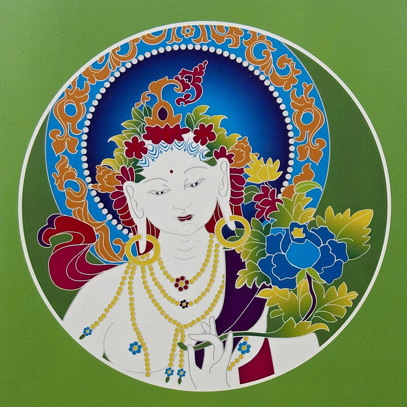 Greeting Card Compassion