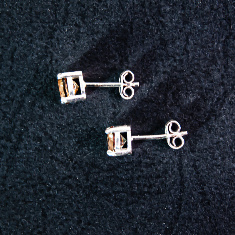 Silver Earrings Simple Brown Stone