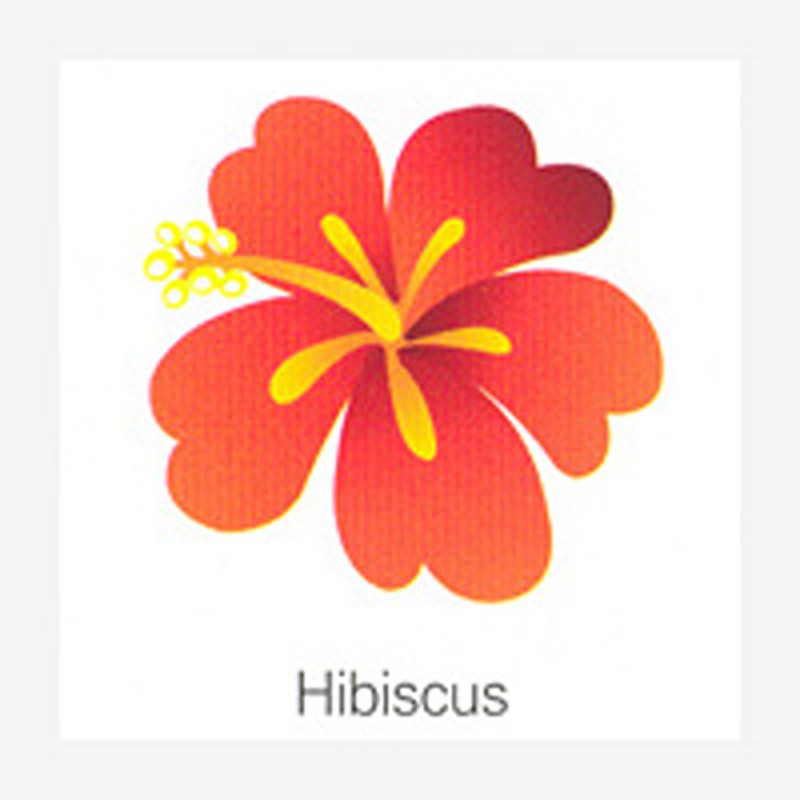 Fridge magnet Hibiscus)